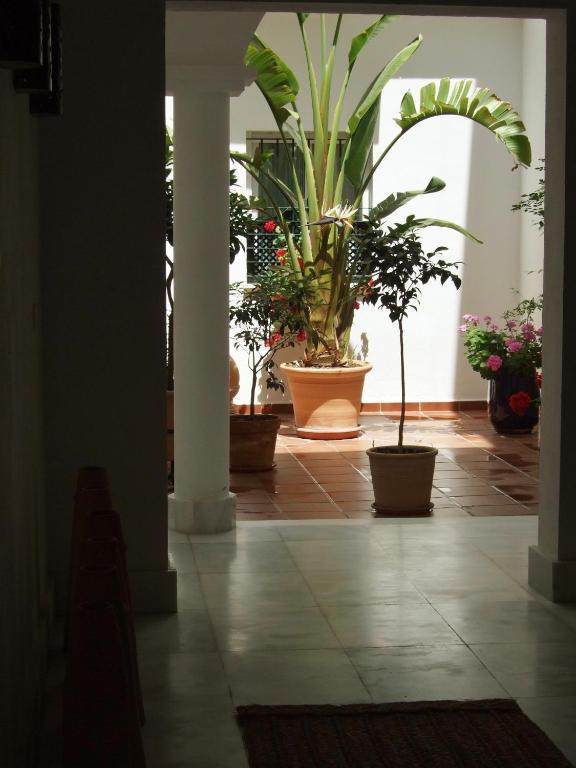 Casa Atlantica Beautiful Apartments Rota Kültér fotó